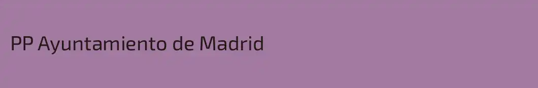 PP Ayuntamiento de Madrid